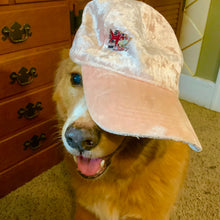 Load image into Gallery viewer, Shark Frights Hard Enamel Pins Vol. 2 (Set of 4)